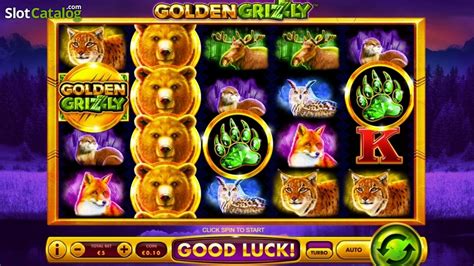 Golden Grizzly Review 2024