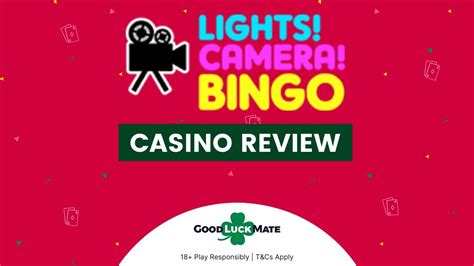 Lights camera bingo casino apk